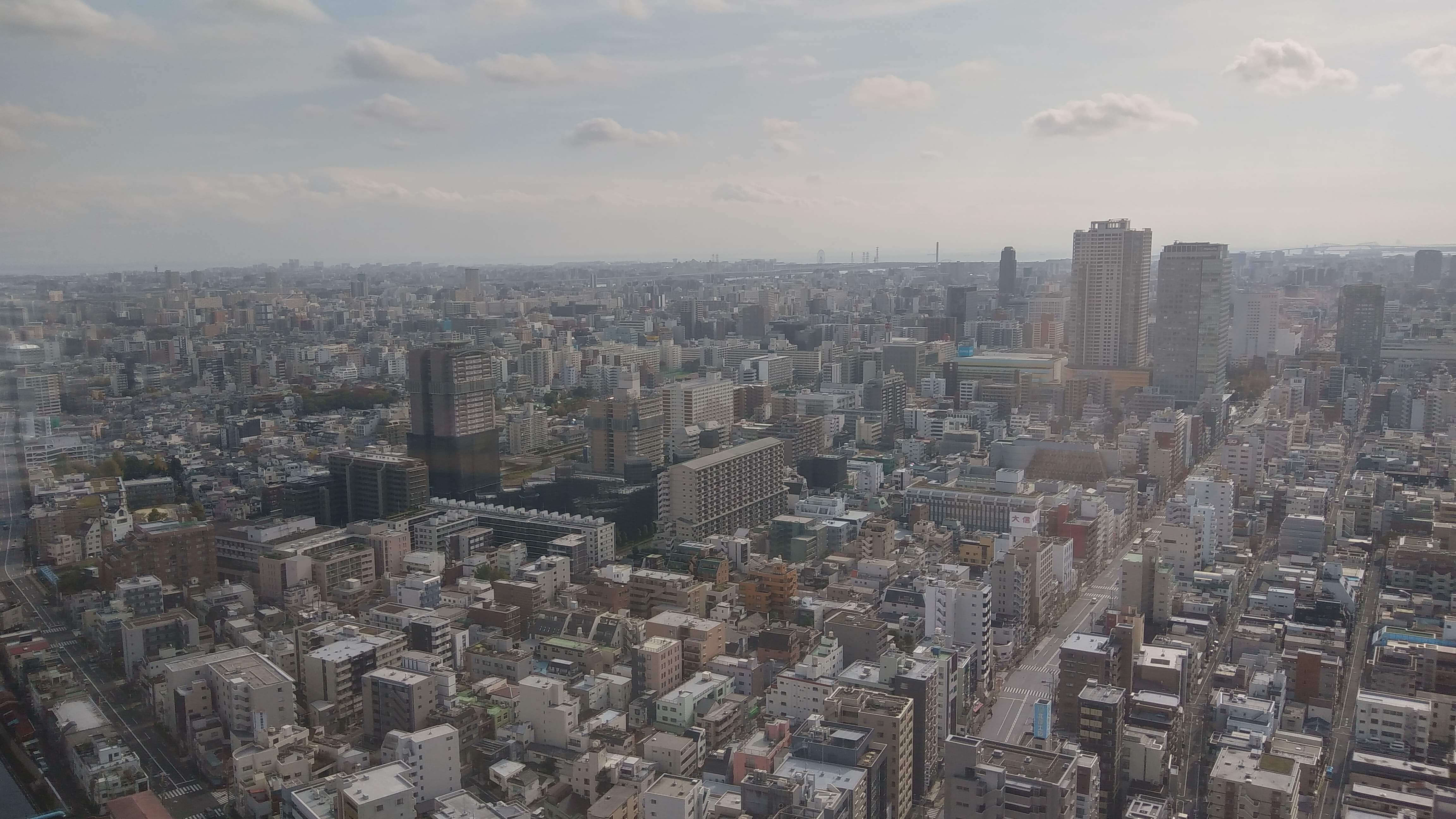 スカイツリーからの景色